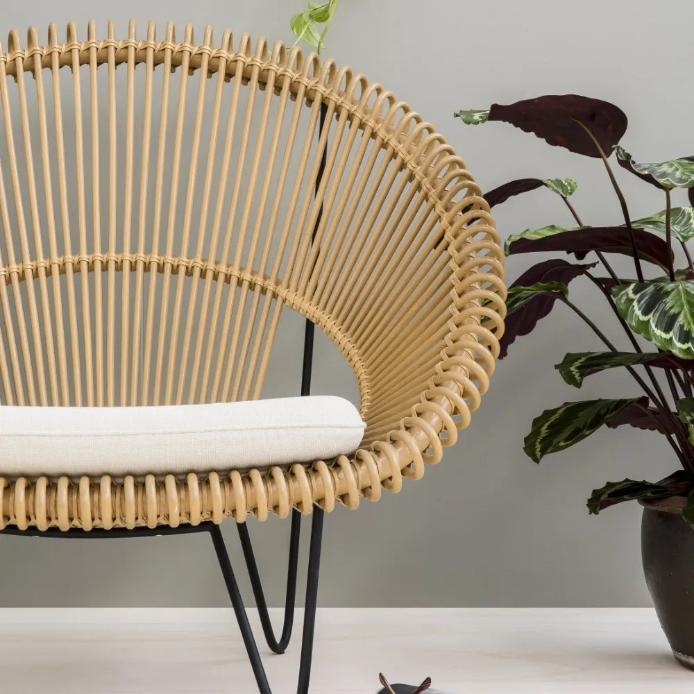 Outdoor Modern Rattan Chair