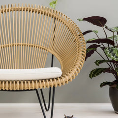 Outdoor Modern Rattan Chair