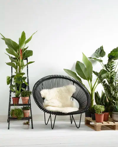 Outdoor Modern Rattan Chair