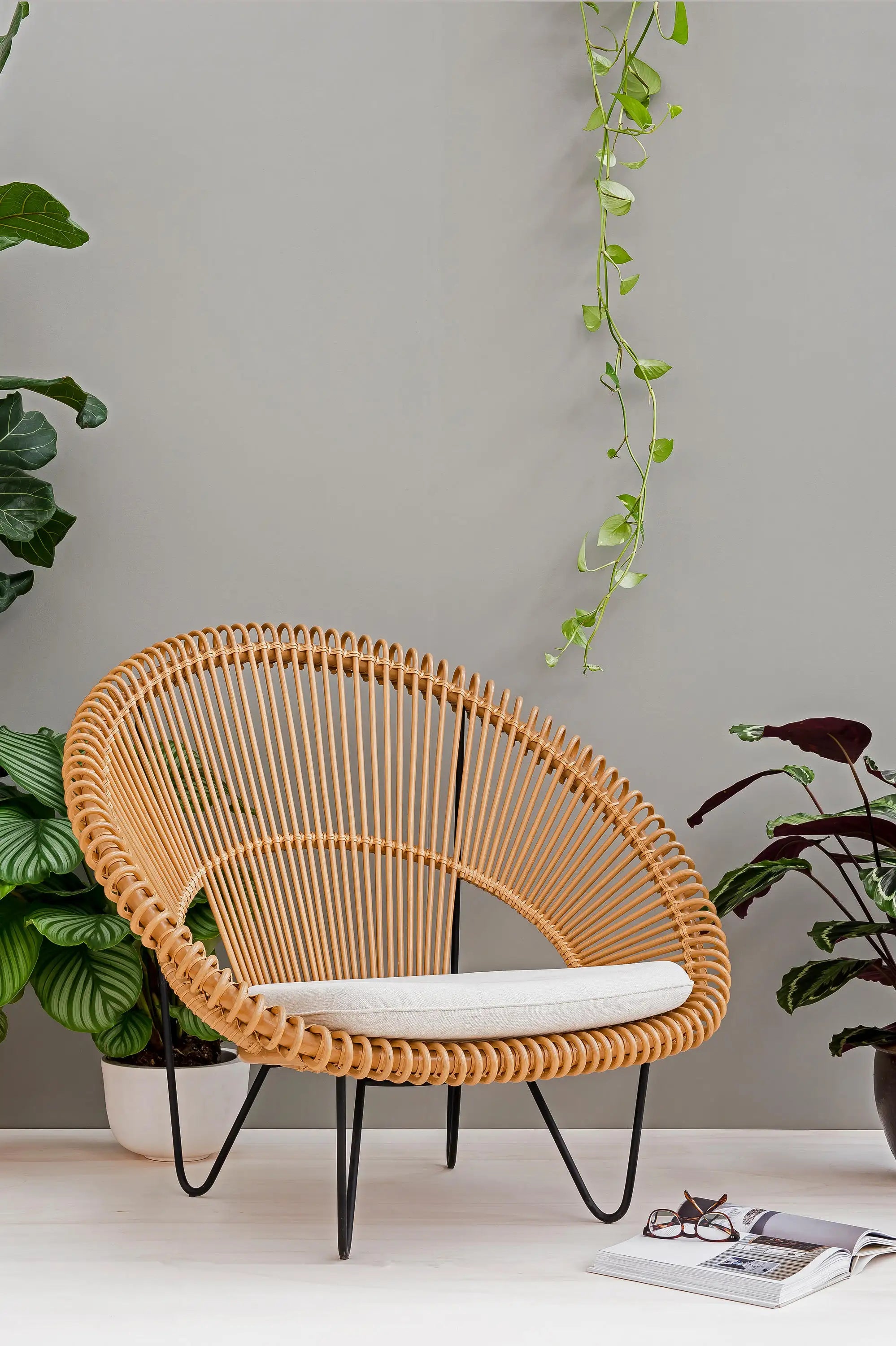 Outdoor Modern Rattan Chair